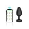 CG-12  10 Frequency Sex Products Charging Silver Diamond Vibration Masturbation Manufacturer Backyard Adult APPSM Male Anal Plug Female Remote Control - 图片 4